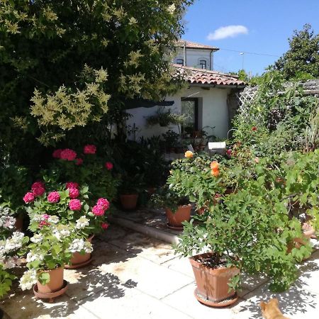 B&B Le Ortensie Castagnole Εξωτερικό φωτογραφία