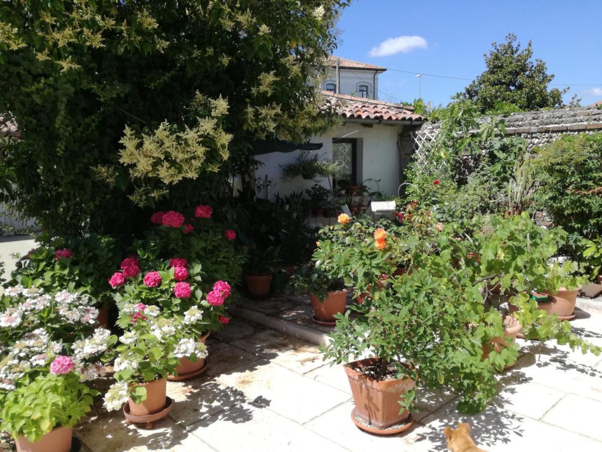 B&B Le Ortensie Castagnole Εξωτερικό φωτογραφία