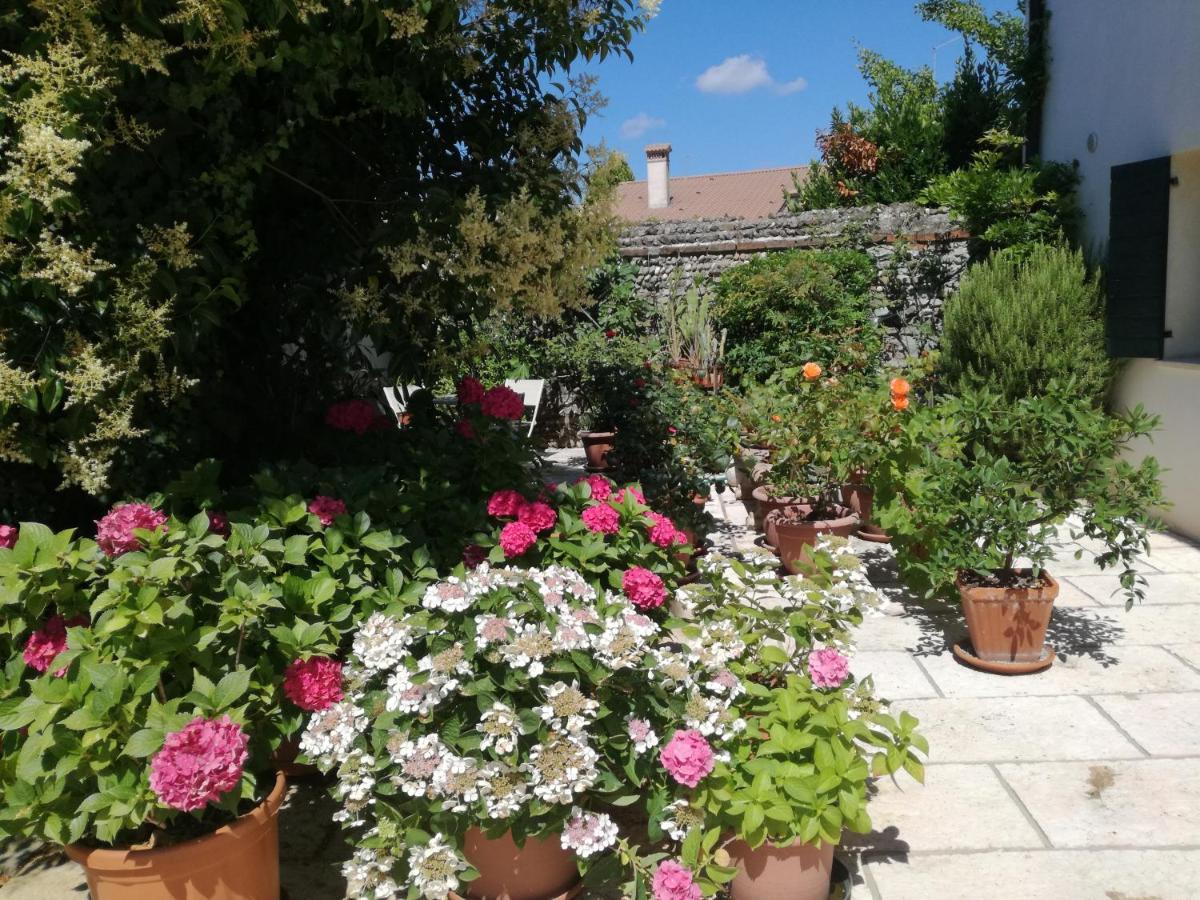 B&B Le Ortensie Castagnole Εξωτερικό φωτογραφία